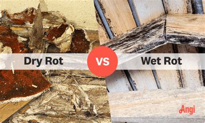 How can you tell the difference between dry rot and wet rot?