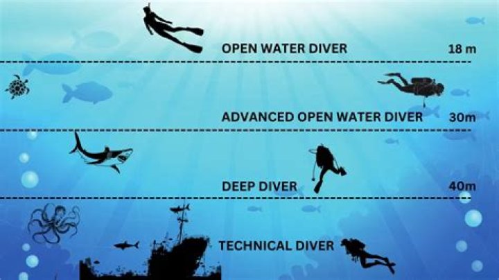 How deep do Olympic divers go?