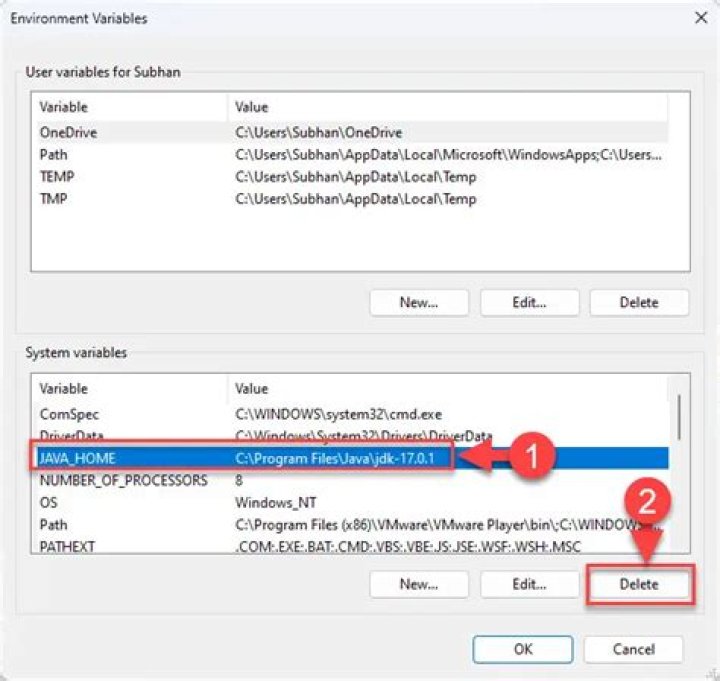 How do I change System Variables in Windows?