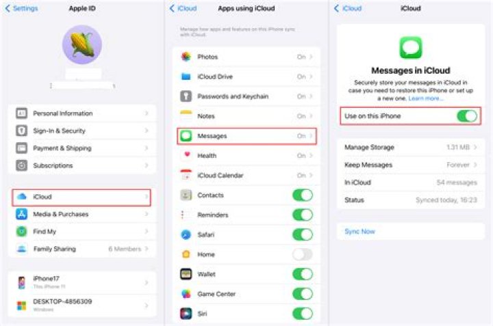 How do I delete WhatsApp messages from iCloud?