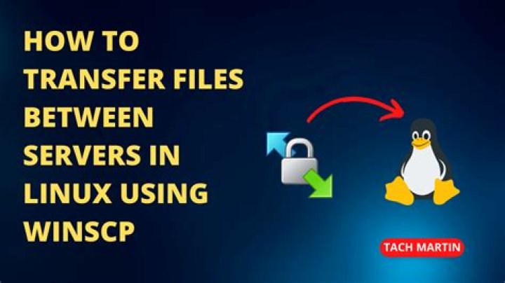 How do I generate a transfer code in WinSCP?