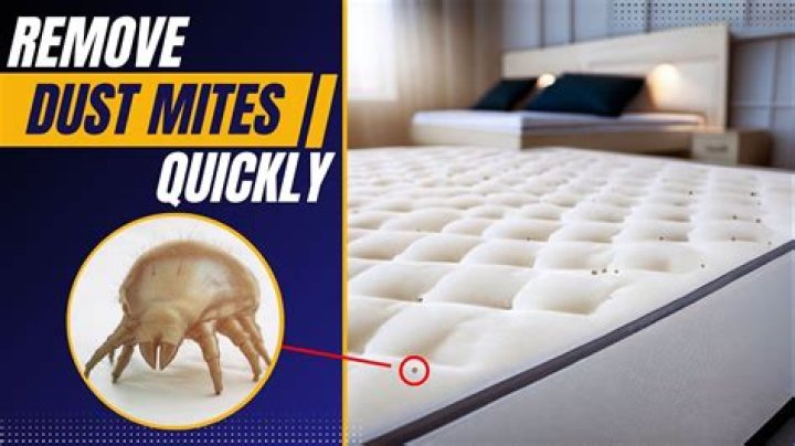 How do I get rid of dust mites in my mattress?