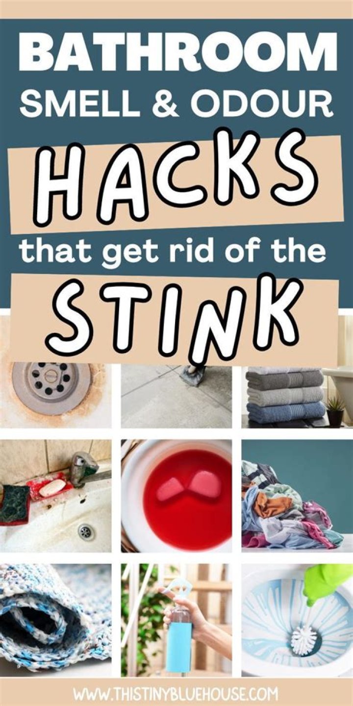 How do I get rid of the smell in my bathroom sink?