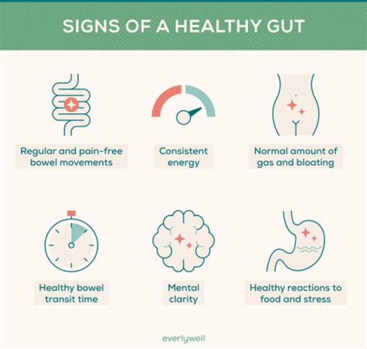 How do I heal my gut after drinking?