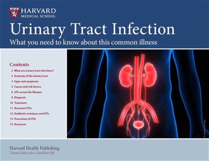 How do I know if I have a UTI or kidney infection?