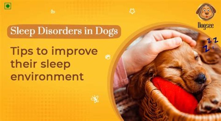 How do I know if my dog is hot at night?