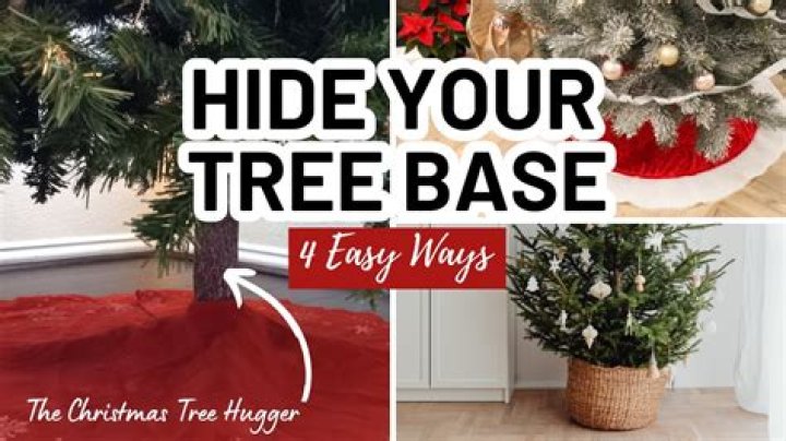 How do I prolong the life of my Christmas tree?