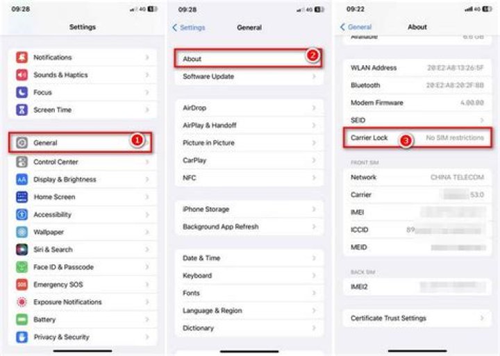 How do I remove the carrier lock on my iPhone?