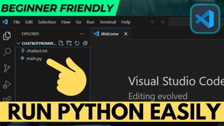 How do I run Python in Chrome?