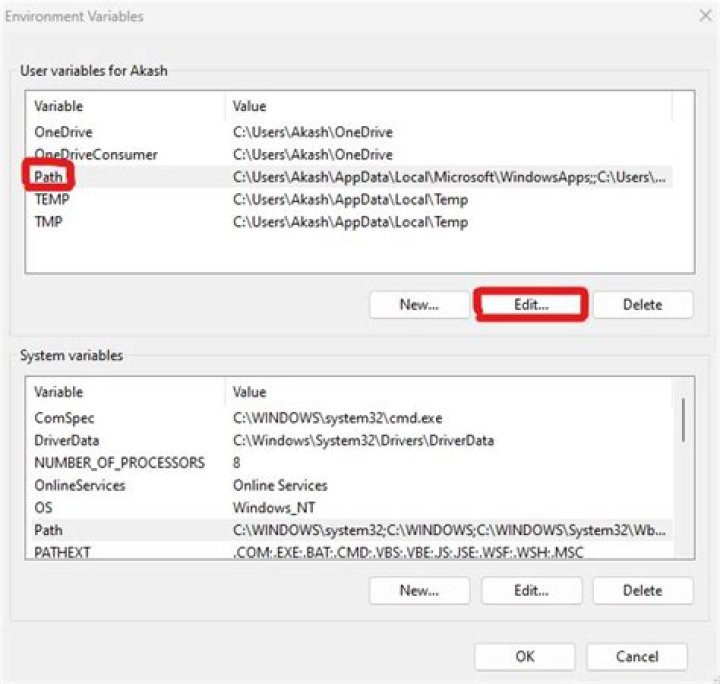 How do I set an environment variable in Path?