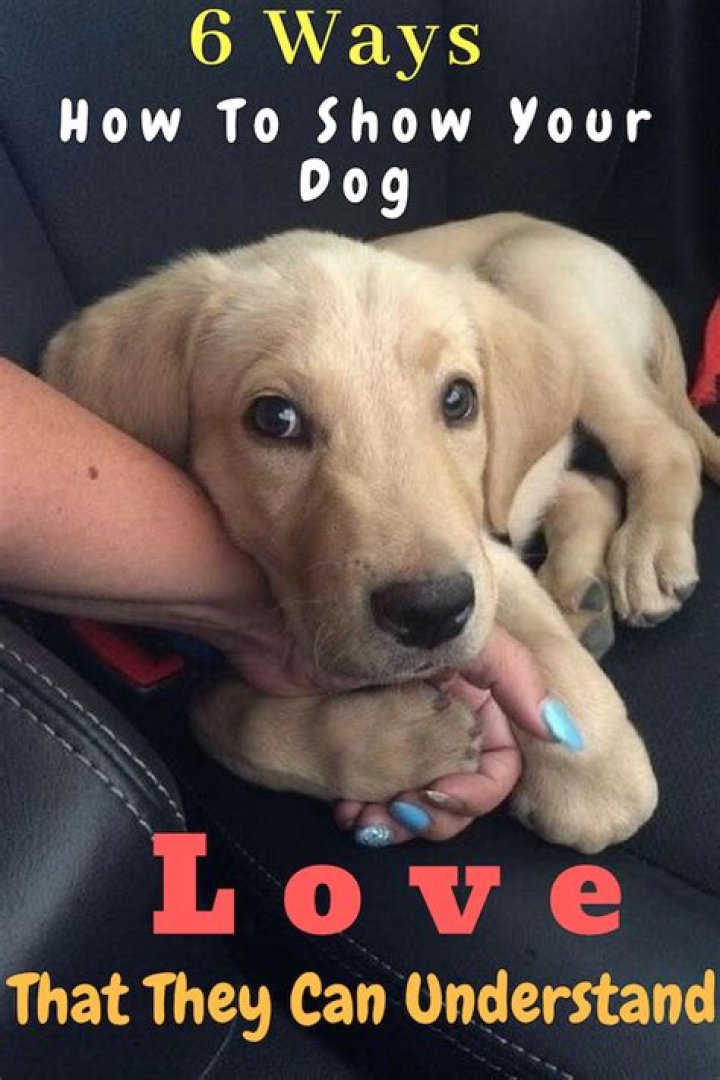 How do I show my dog I love her?