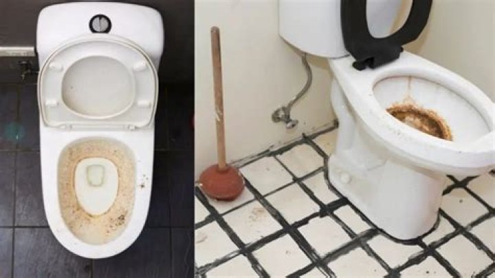 How do I stop the ring in my toilet?