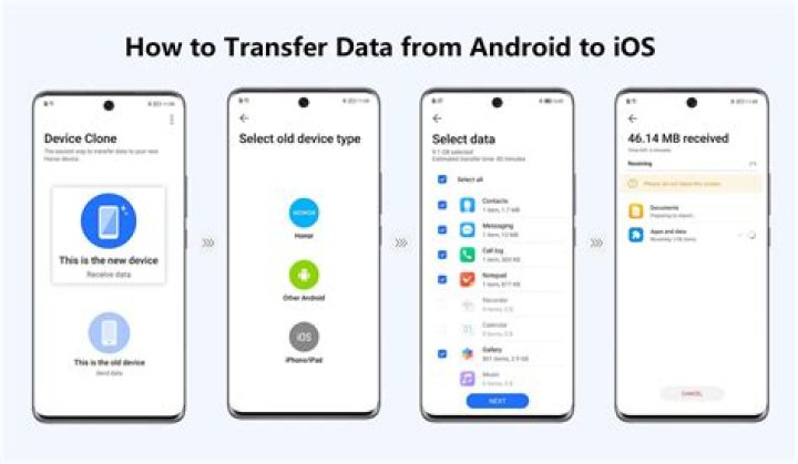 How do I transfer data from PowerApps to Excel?