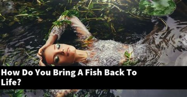 How do you bring a fish back to life?