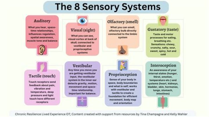How do you calm sensory seeking behavior?
