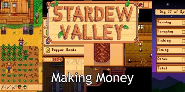 How do you cheat money in Stardew Valley?