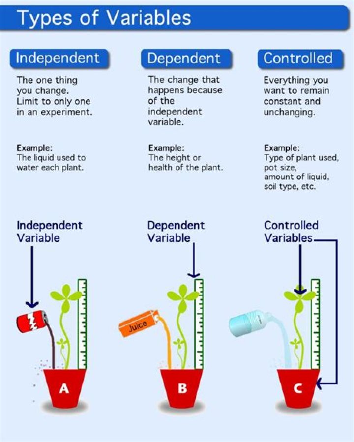 How do you control independent variables?