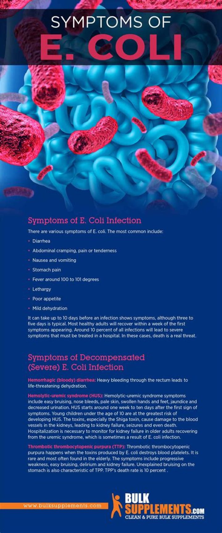 How do you get E. coli infection in your kidneys?