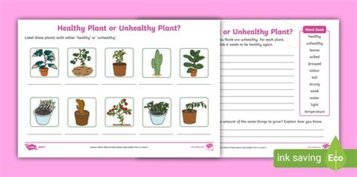 How do you keep plants healthy in pots?