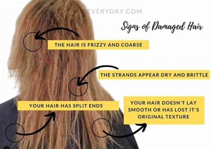 How do you know if your hair is heat damaged?