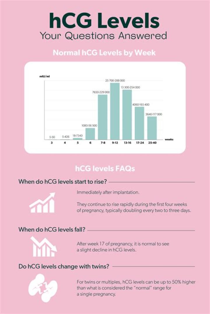 How do you know if your hCG levels are increasing?