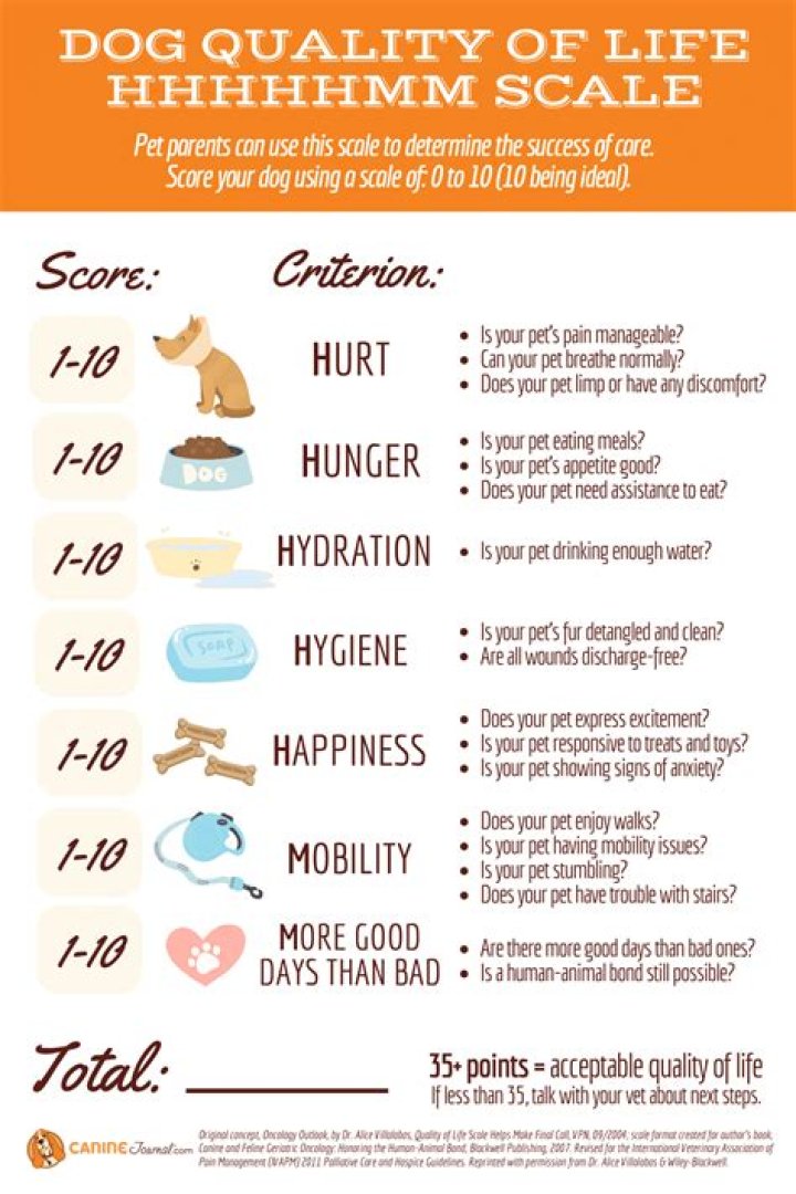 How do you know when it's time to put down a dog?