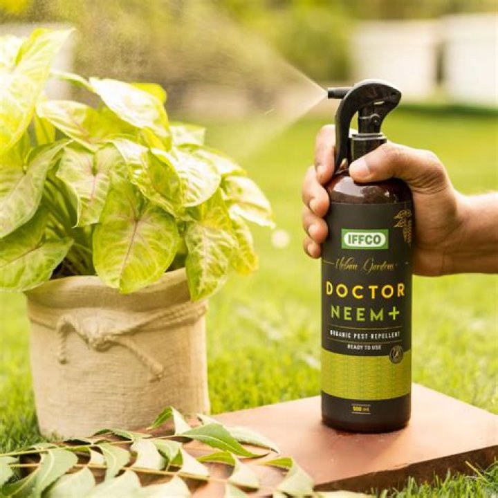 How do you mix neem oil in a spray bottle?