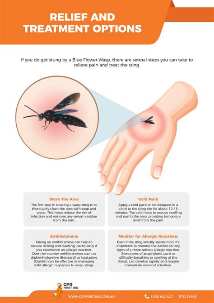 How do you neutralize a wasp sting?