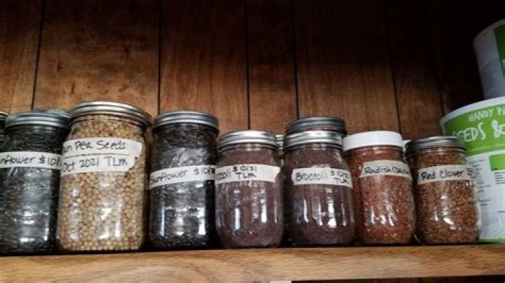 How do you store long term seasonings?