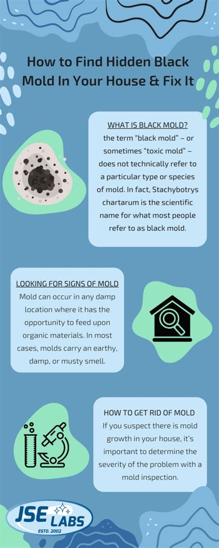 How do you tell if you have black mold in your house?