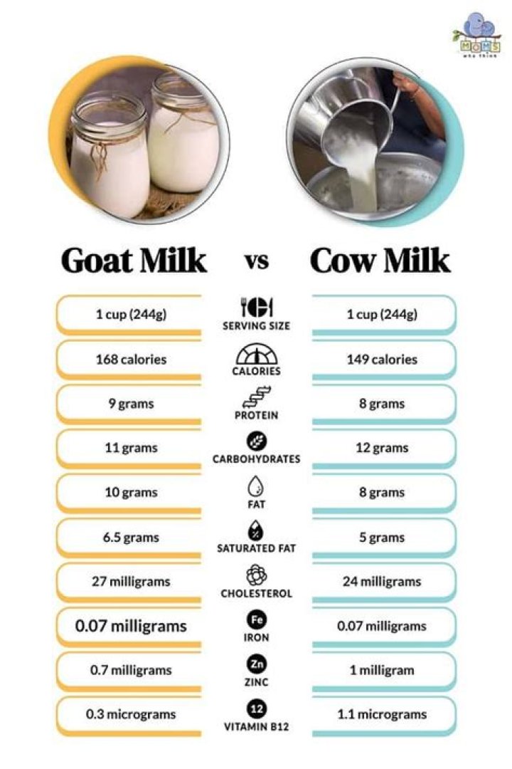 How do you tell milk glass?