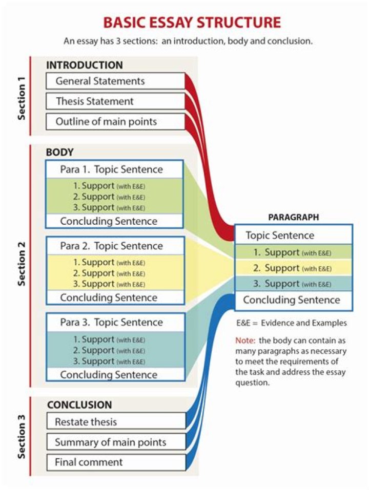 How do you write the main body of a university essay?
