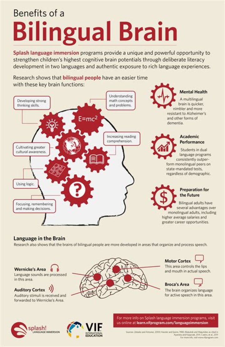 How does trilingual affect the brain?