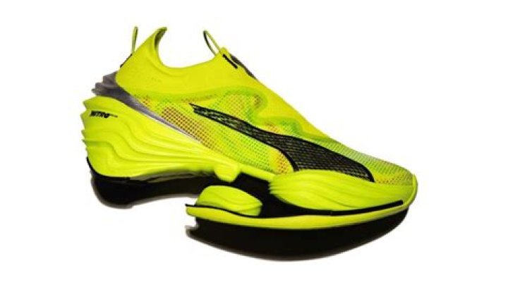 How fast is a puma?