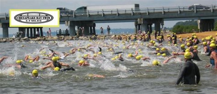 How hard is a 2.4 mile swim?