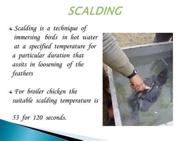 How hot is scalding water?