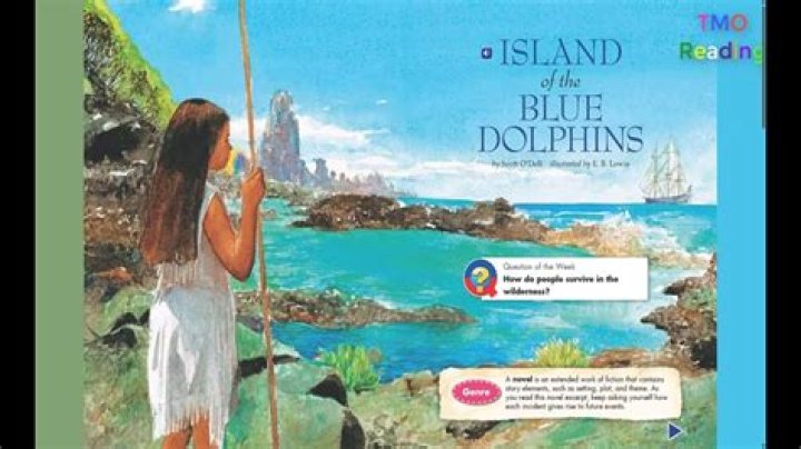 How is Karana preparing to live alone on the island?