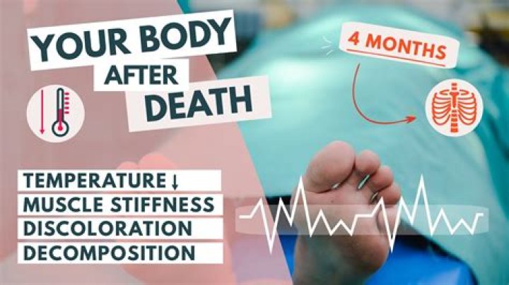 How long after death does a body turn black?
