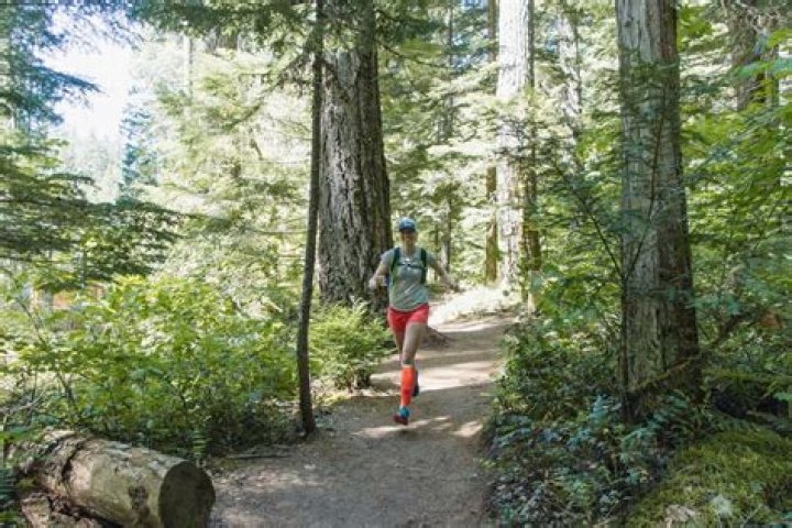 How long can deer run before getting tired?