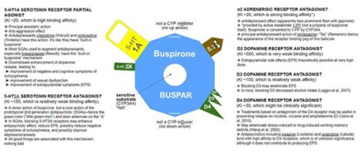 How long can you stay on buspirone?