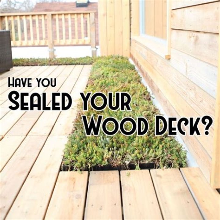 How long does deck sealer take to dry?