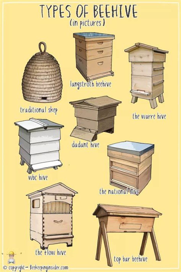 How long does it take for hive to accept new queen?