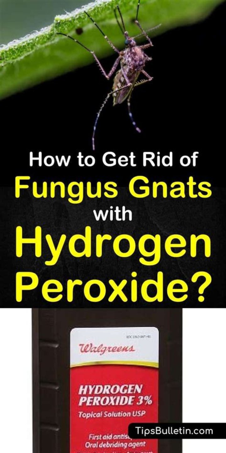 How long does it take for hydrogen peroxide to get rid of fungus?