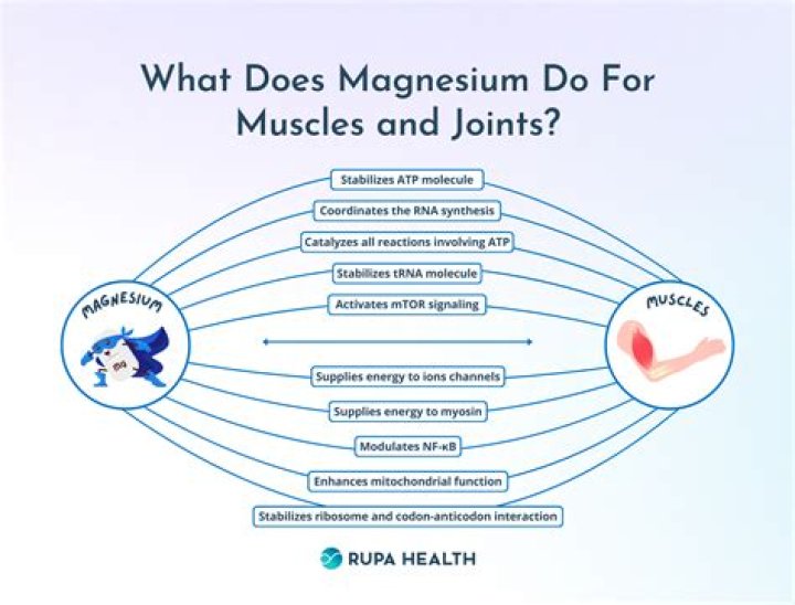 How long does it take for magnesium to work for muscles?