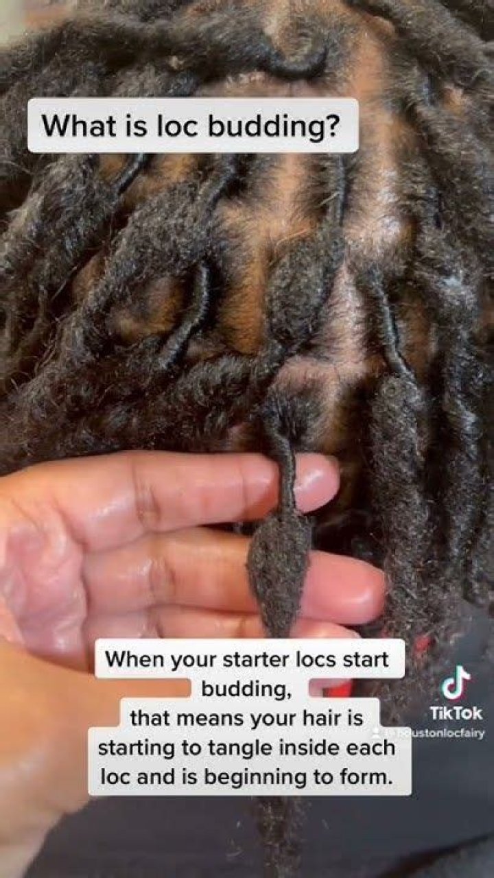 How long is the budding stage for locs?