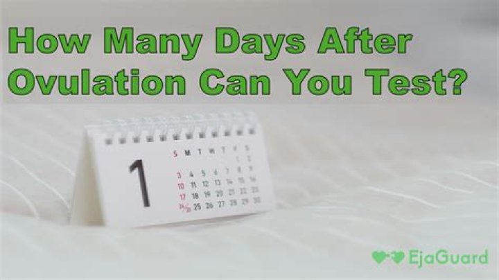 How many days after ovulation can you test for pregnancy?