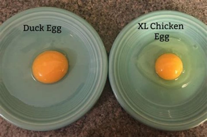 How many duck eggs equal 4 chicken eggs?