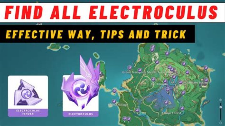 How many Electroculus should I have?