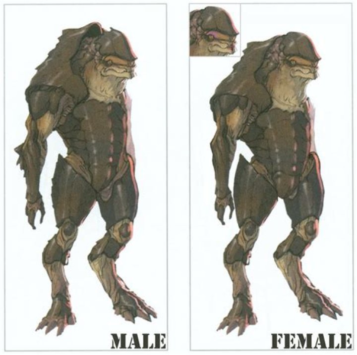 How many female krogan are there?