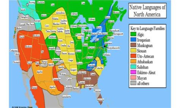 How many languages does an average American speak?